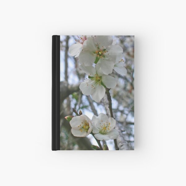 Blossoming of Almond Hardcover Journal