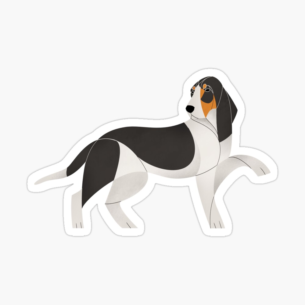 bernese hound