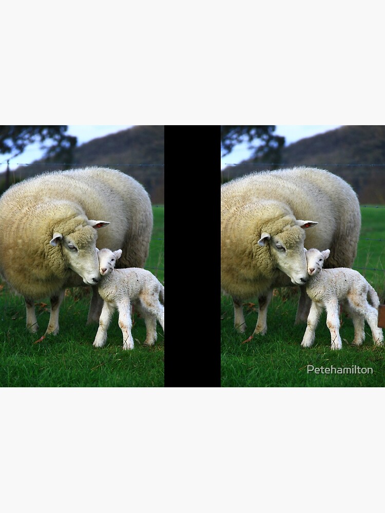 Hi Mum. by Petehamilton