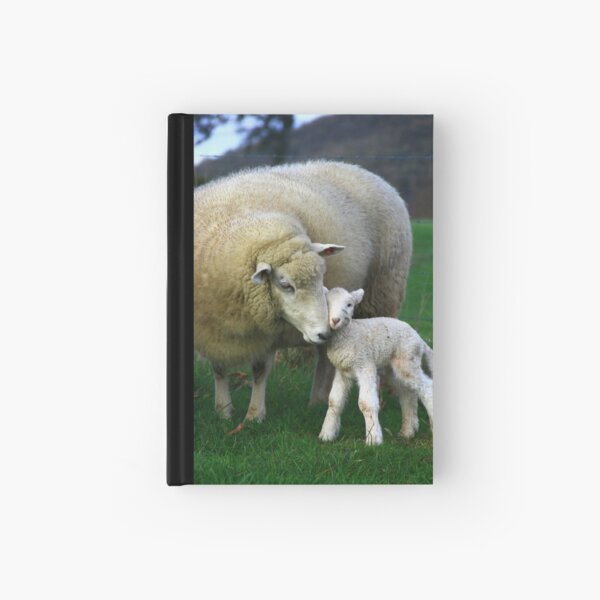 Hi Mum. Hardcover Journal