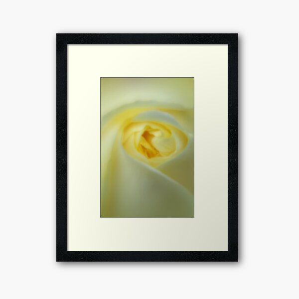 Floral Abstracts Framed Art Print