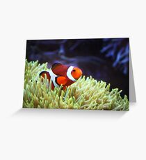 "Nemo, where are you?" Greeting Card