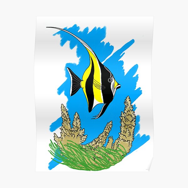Moorish Idol Poster