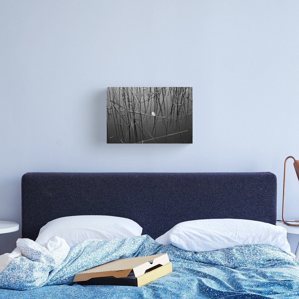 Liquid Feather Canvas Print