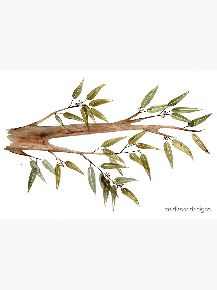 Australian Gum Branch Watercolour Art Board Print for Sale by