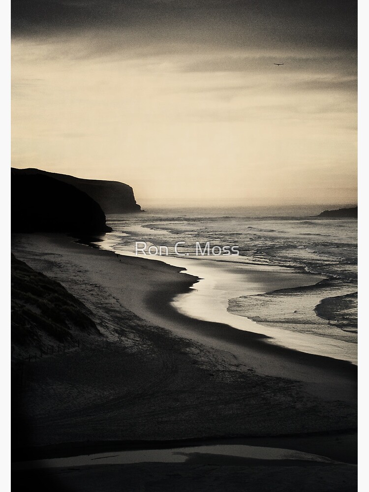 Tomohawk Beach, South Island, New Zealand by ronmoss