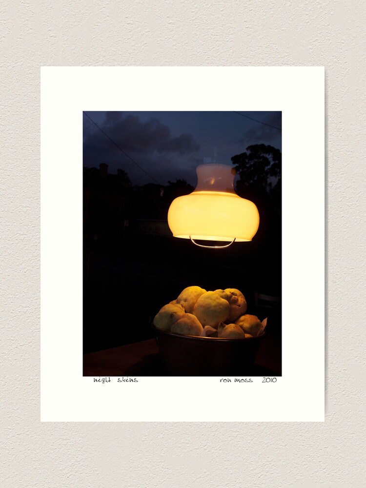 Alternate view of Night Skins 2 Art Print