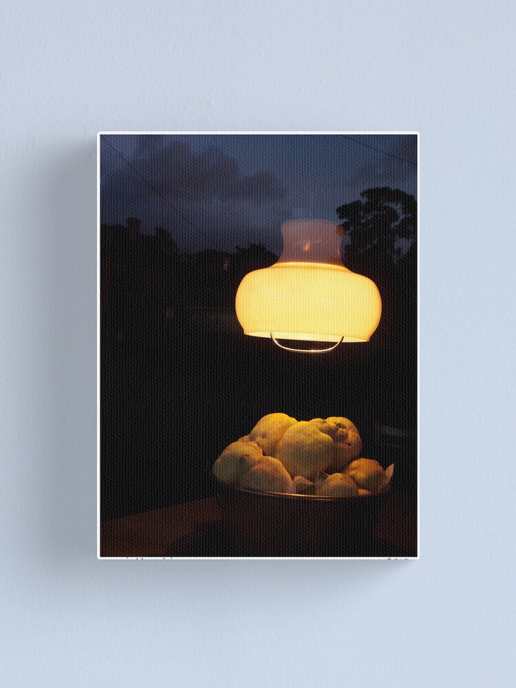 Alternate view of Night Skins 2 Canvas Print