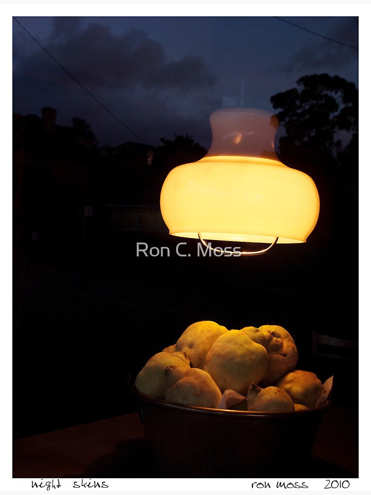 Night Skins 2 by ronmoss