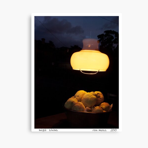 Night Skins 2 Canvas Print