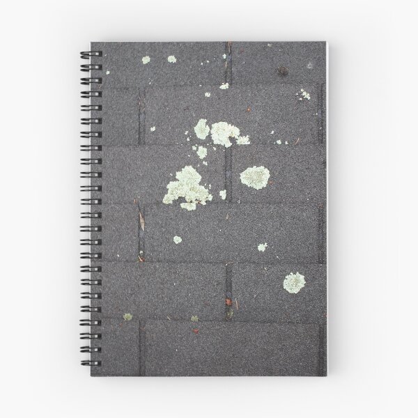Item preview, Shingles 12 designed and sold by Logan McCarthy.