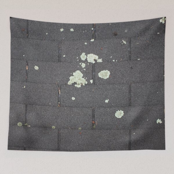 Item preview, Shingles 12 designed and sold by Logan McCarthy.