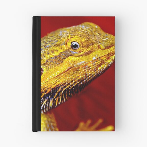 Item preview, Dragons' Portrait designed and sold by tigerwings.