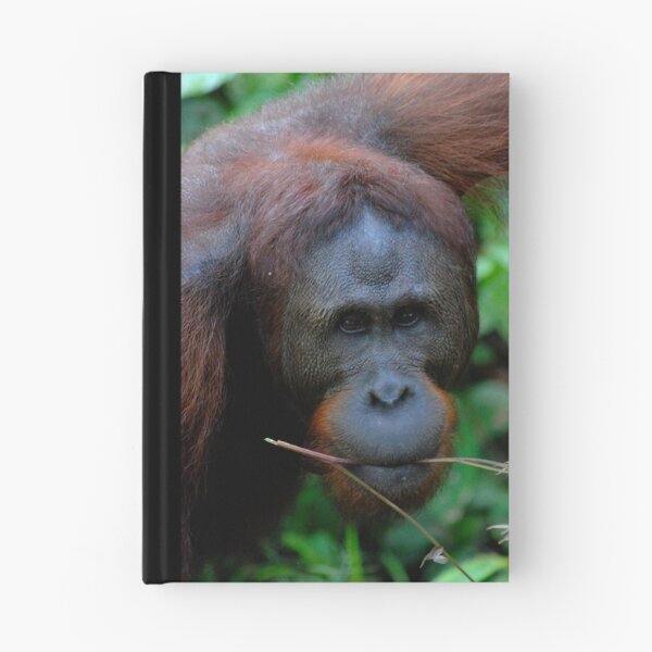 Item preview, Orangutang designed and sold by westgoeseast.
