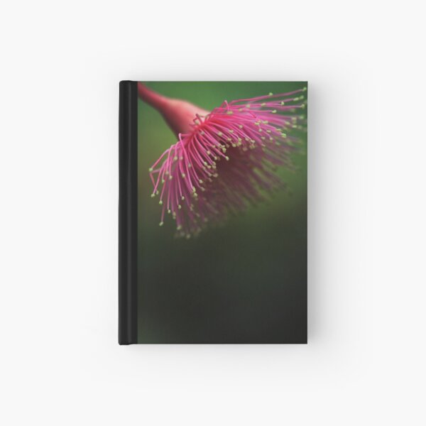 Abyss Hardcover Journal