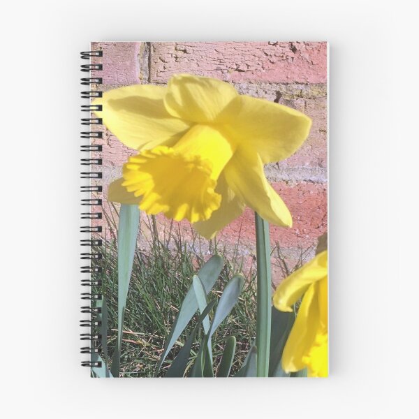 Item preview, First Daffodils of Spring - Pasture Villas designed and sold by Merice  Ewart Marshall.