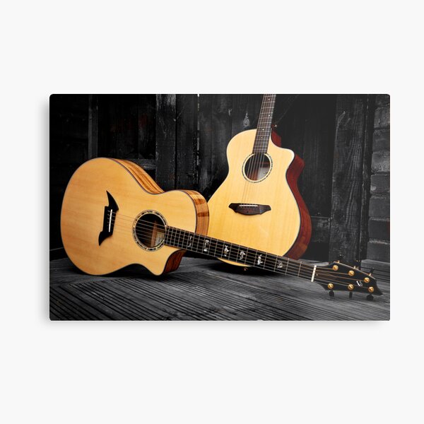 Nice Pair ... Metal Print
