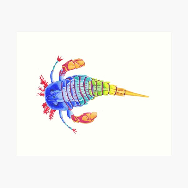 Eurypterid (Sea scorpion) Art Print