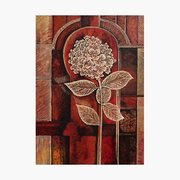 Hydrangea in Arch Photographic Print