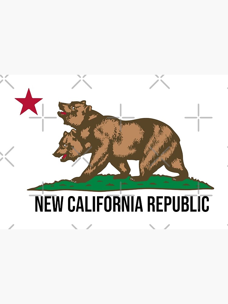 New California Republic Ncr Fallout Fan Art Art Board Print By Dylanjaimz Redbubble