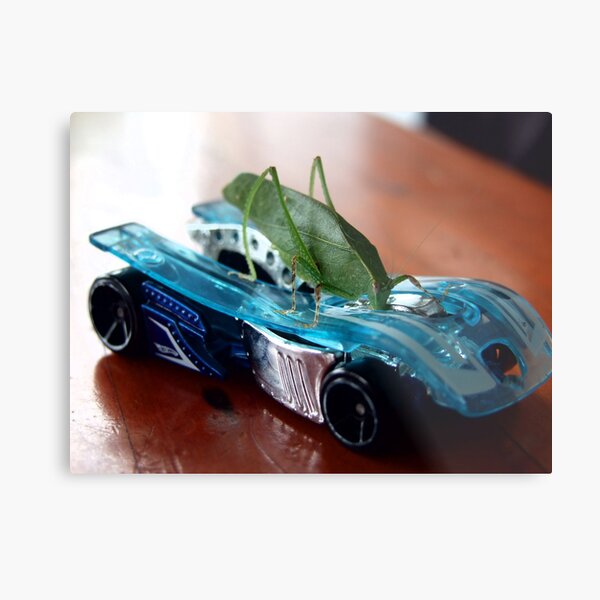 Vroom Vroom Metal Print