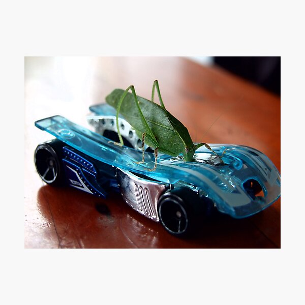 Vroom Vroom Photographic Print
