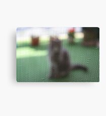 Screen Test Canvas Print
