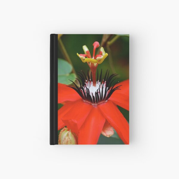 Red Passion Flower Hardcover Journal