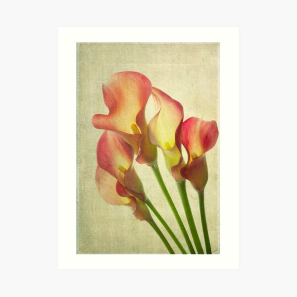 Lit From Within Art Print