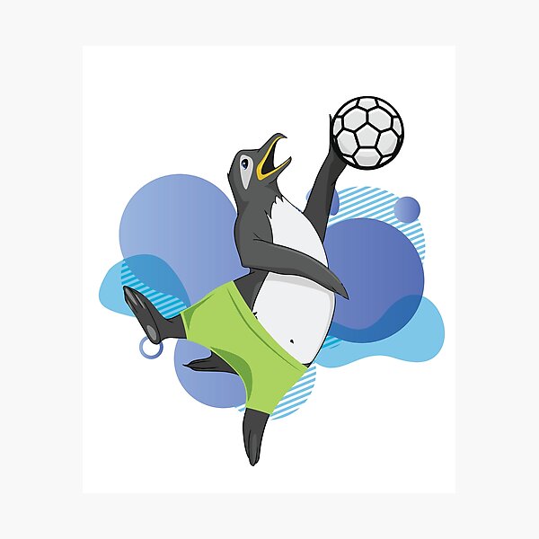 Humorous Handball Sayings Wall Art Redbubble