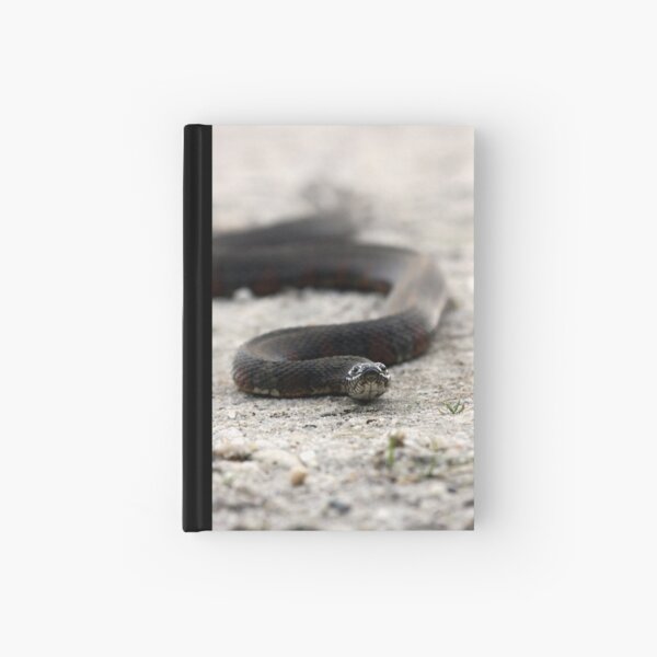 Water Snake Hardcover Journal