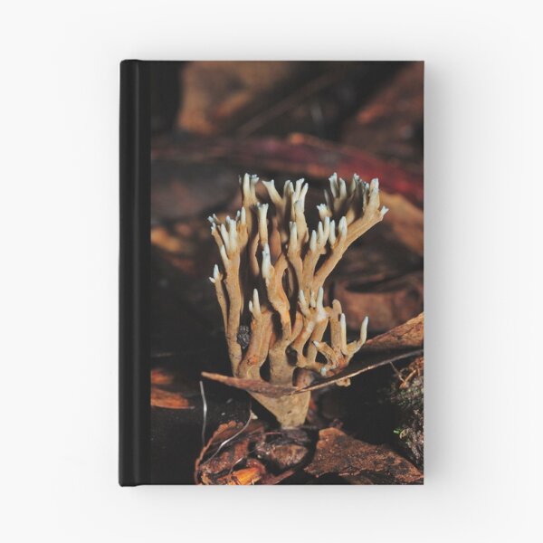 Item preview, Odd coral fungi designed and sold by Colin12.