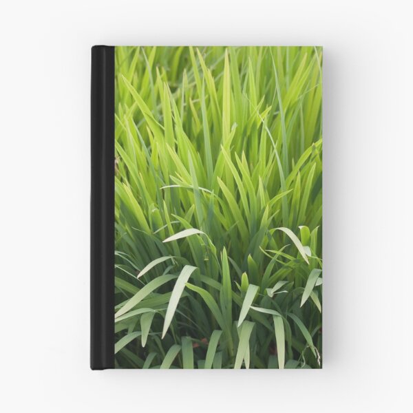 Aperçu de l'œuvre Grass créée et vendue par daveharrisonnet.