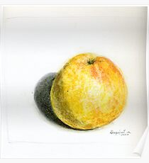 Grapefruit Poster
