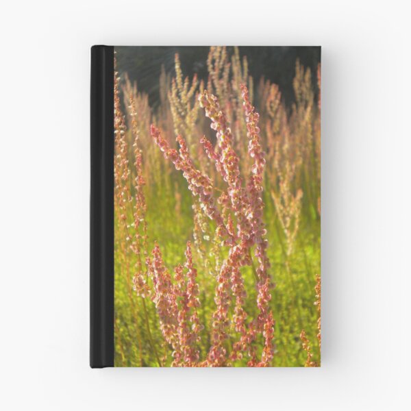 Item preview, Red Flowering Weed in the Green Grass designed and sold by shutterbug1170.