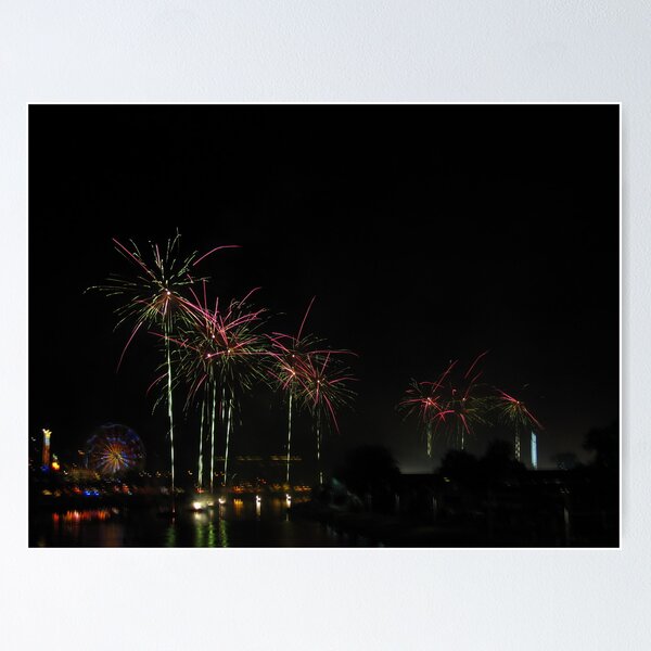 Artikelvorschau, Moomba firework palmtrees entworfen und verkauft von Jessica Brett.