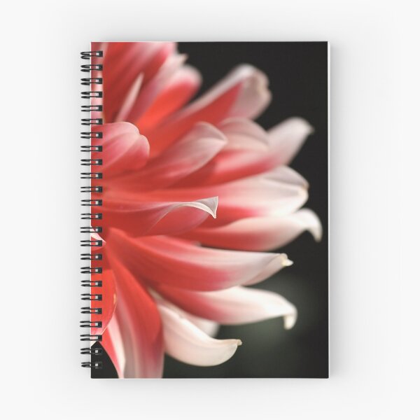 Item preview, Dahlia Fun designed and sold by Joy Watson - Natural Light Photography .