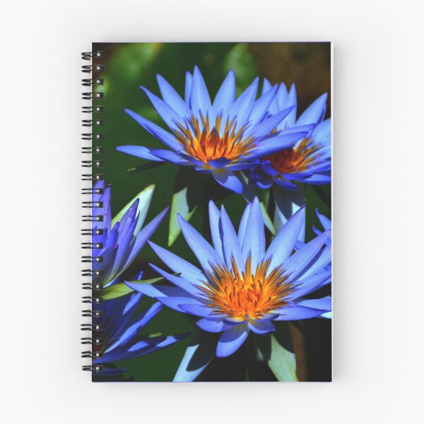 Item preview, Blue water lily. designed and sold by minnetta1720.
