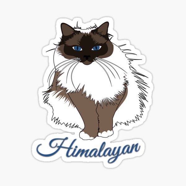 Download Himalayan Cat Gifts & Merchandise | Redbubble