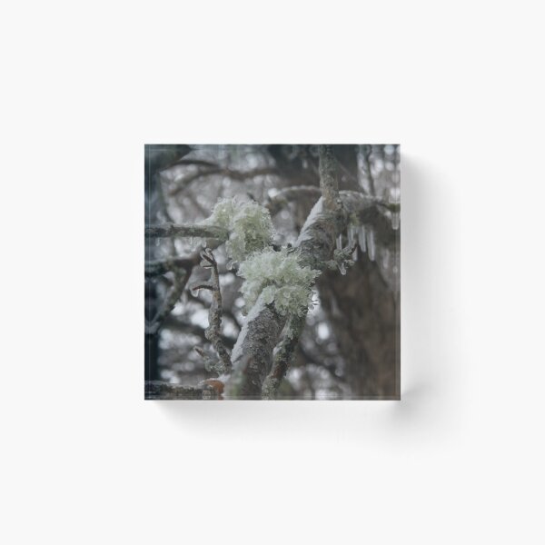 Item preview, Frozen Tree, Wild and Free designed and sold by Totallyalive.