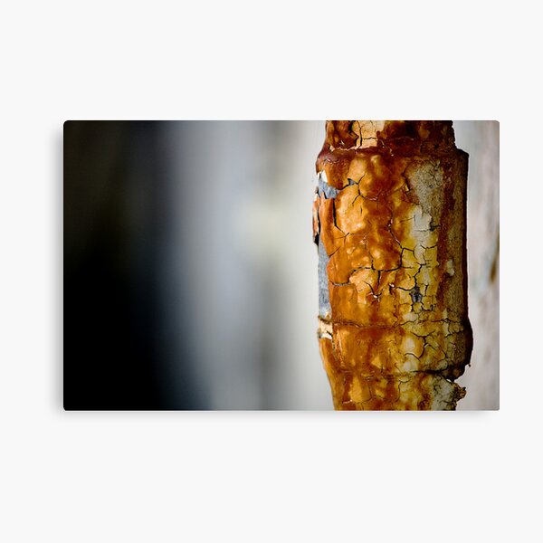 Aperçu de l'œuvre Rusted créée et vendue par bigbear.