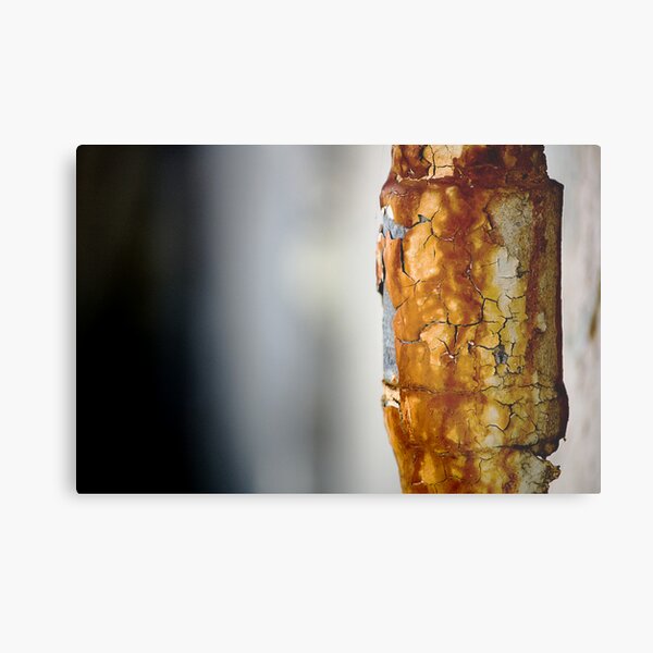 Aperçu de l'œuvre Rusted créée et vendue par bigbear.