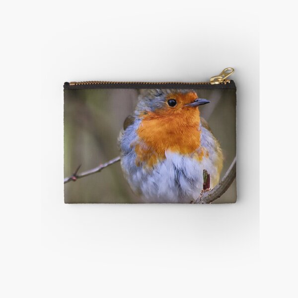 Item preview, Robin designed and sold by Joanne wilde.