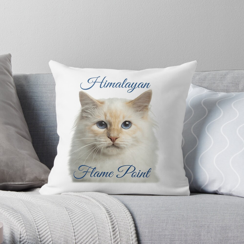 https://ih1.redbubble.net/image.751145339.5724/throwpillow,small,1000x-bg,f8f8f8-c,0,200,1000,1000.u8.jpg