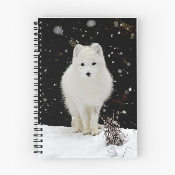 Item preview, Arctic Fox designed and sold by PtDefianceAAZK.