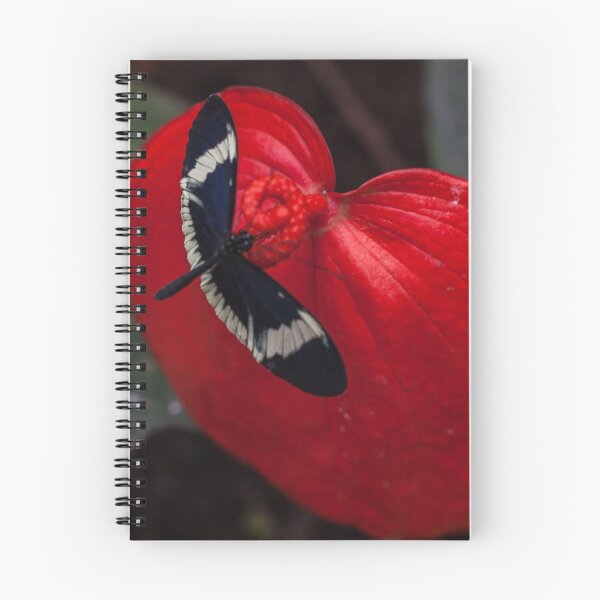 Item preview, Butterfly on Red Leaf designed and sold by Withns.
