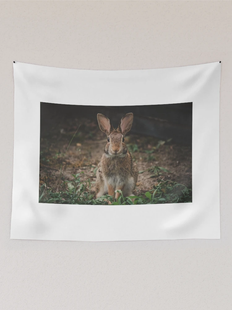 Aperçu 2 sur 3. Tentures avec l'œuvre Peter Rabbit créée et vendue par dev11588.