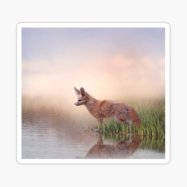Item preview, Fennec Fox in the grassland near water designed and sold by svetlanna.