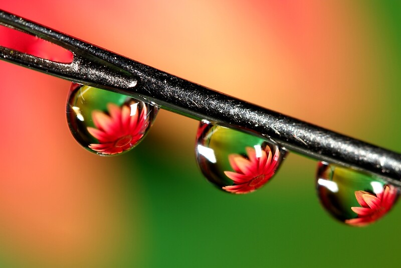 "Through The Eye Of A Needle" by Sharon Johnstone Redbubble