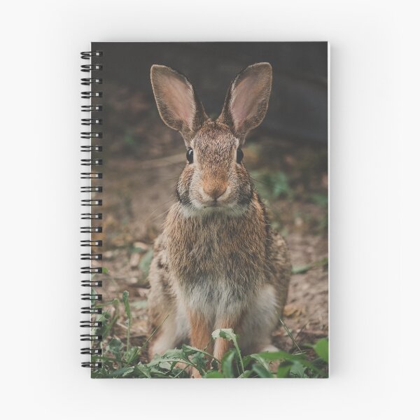 Item preview, Peter Rabbit designed and sold by dev11588.